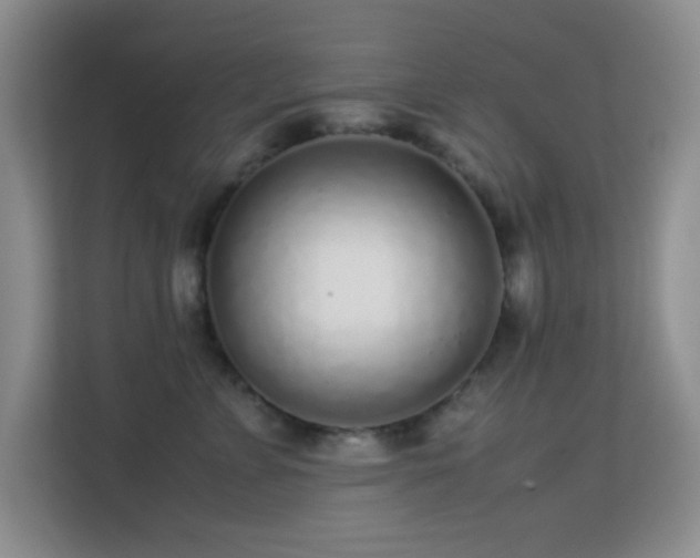 X0000113640715200909251241