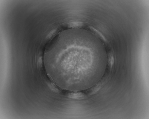 X0000113640716200909251241