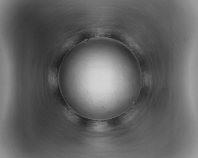 X0000113640719200909251241