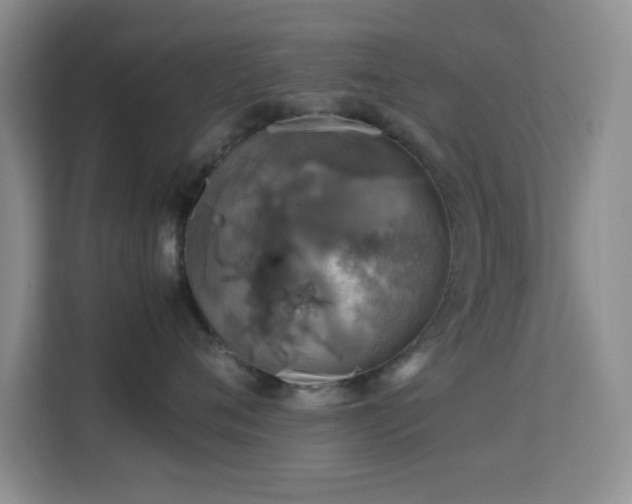 X0000113640720200909251241