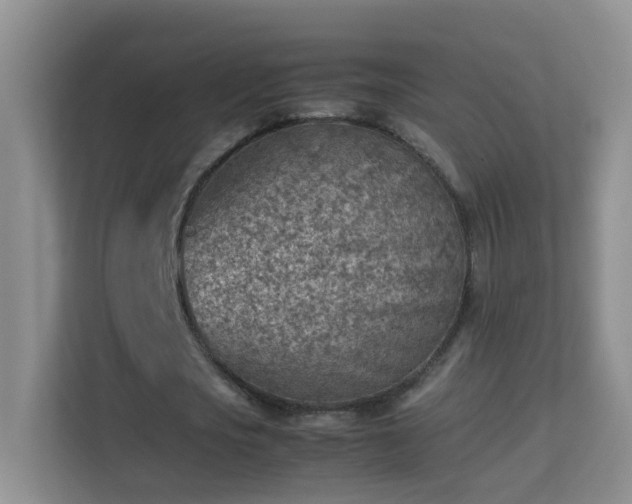 X0000113640721200909251240