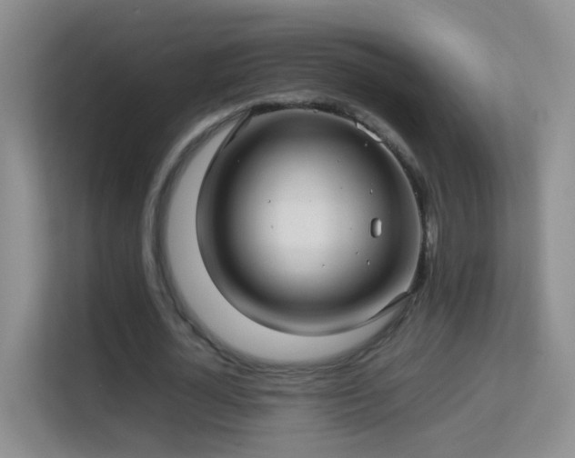 X0000113640724200909251240