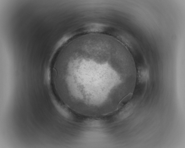 X0000113640726200909251240