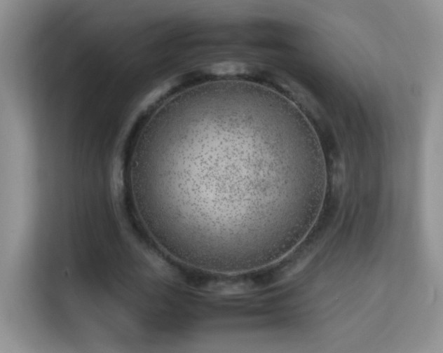 X0000113640727200909251240