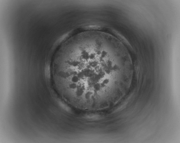 X0000113640729200909251240