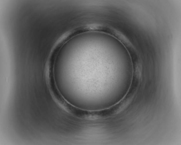 X0000113640730200909251240