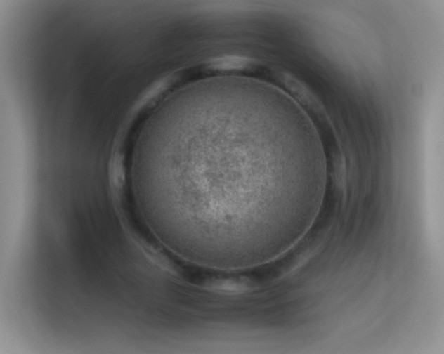 X0000113640731200909251240