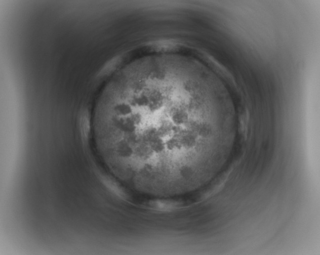 X0000113640733200909251240