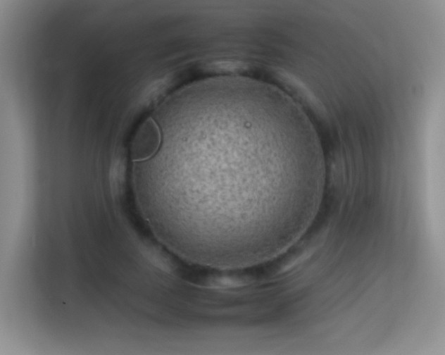 X0000113640739200909251241