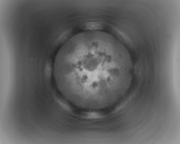 X0000113640741200909251241