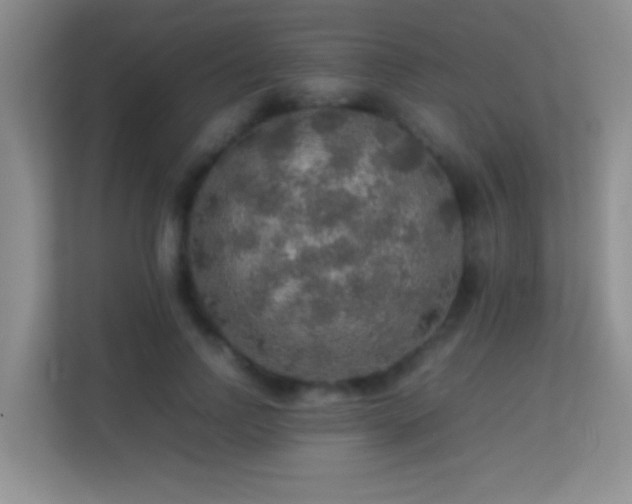 X0000113640742200909251241