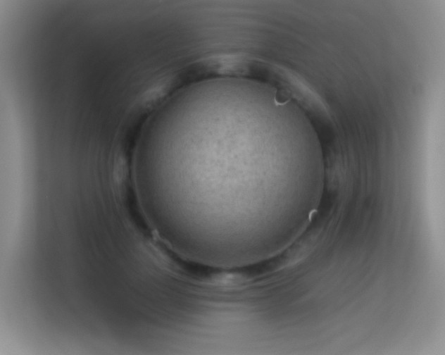 X0000113640748200909251241