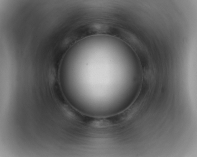 X0000113640752200909251241