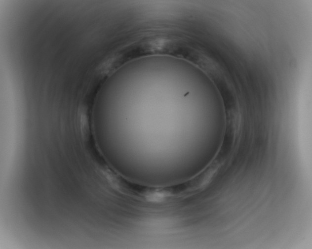 X0000113640754200909251241