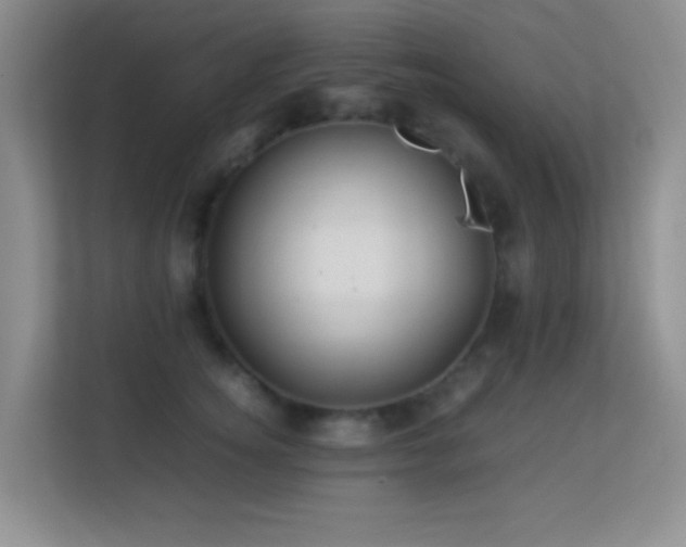 X0000113640756200909251241