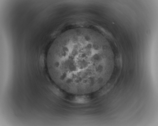 X0000113640757200909251241