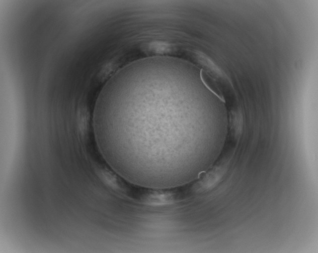 X0000113640760200909251241