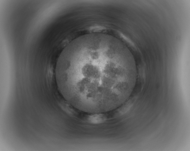 X0000113640761200909251241