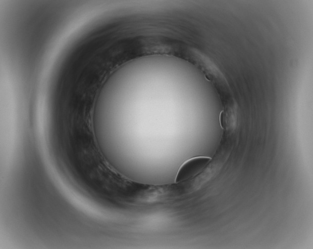 X0000113640764200909251241