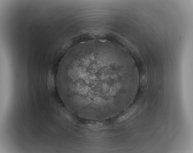 X0000113640772200909251240