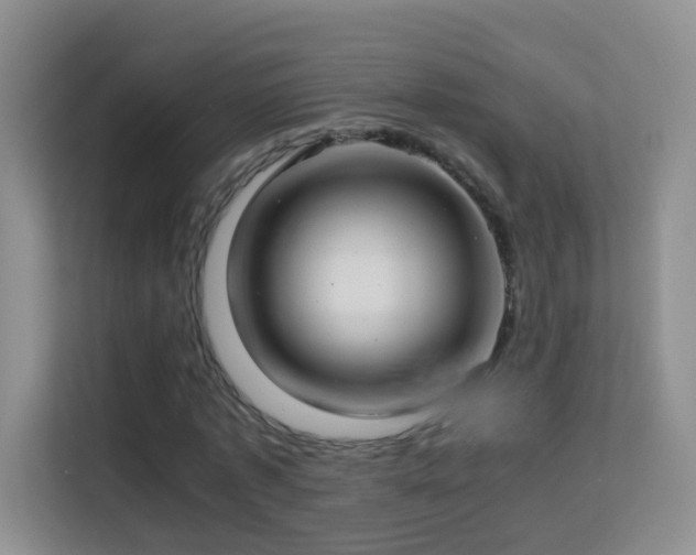 X0000113640773200909251240