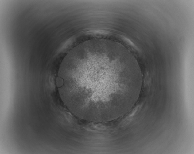 X0000113640774200909251240