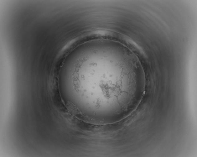 X0000113640776200909251240