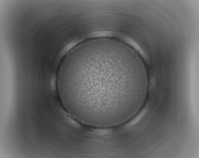 X0000113640778200909251240