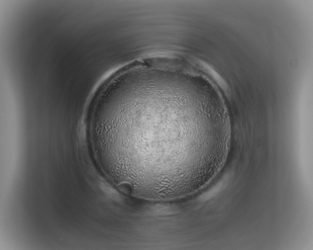 X0000113640779200909251240