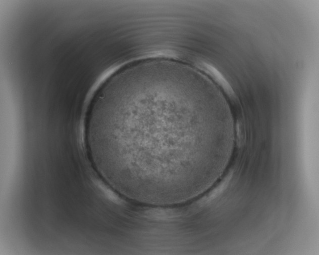 X0000113640780200909251240