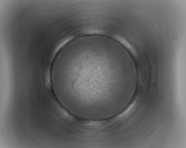 X0000113640782200909251240