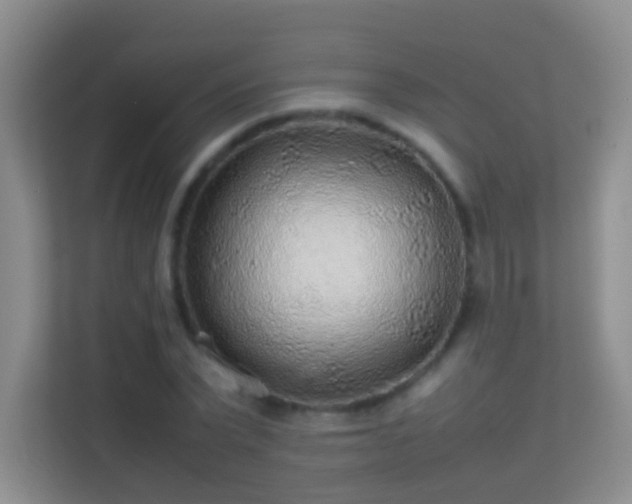 X0000113640783200909251240