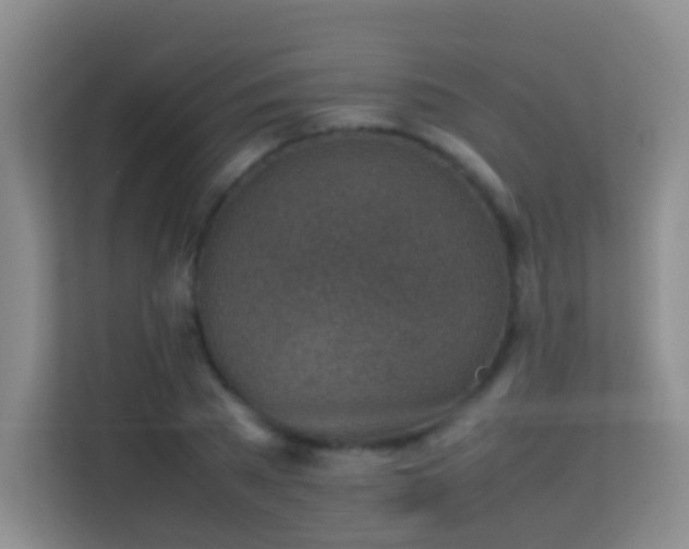 X0000113640785200909251240