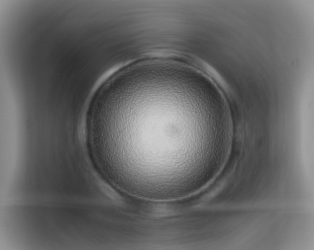 X0000113640787200909251240