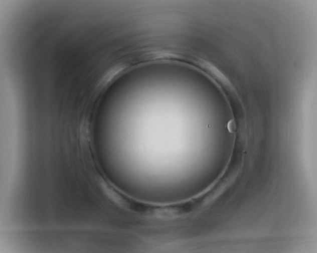 X0000113640793200909251240