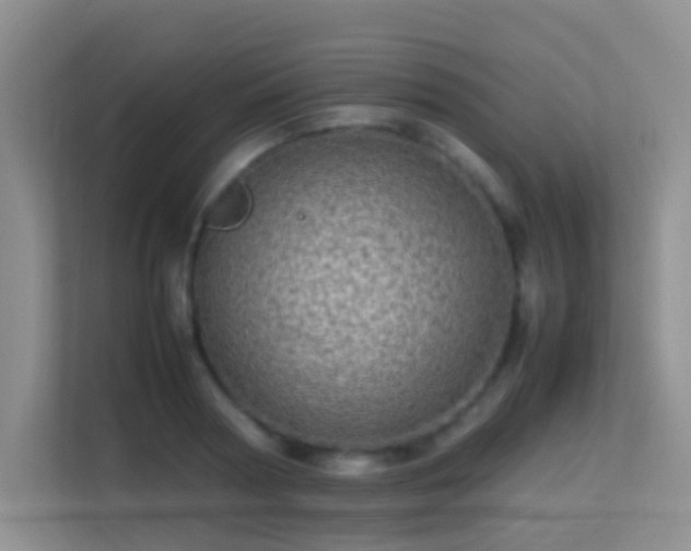 X0000113640794200909251240