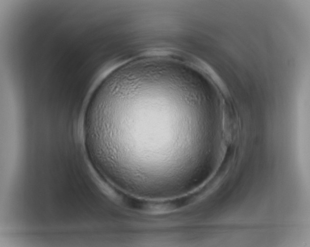 X0000113640795200909251240