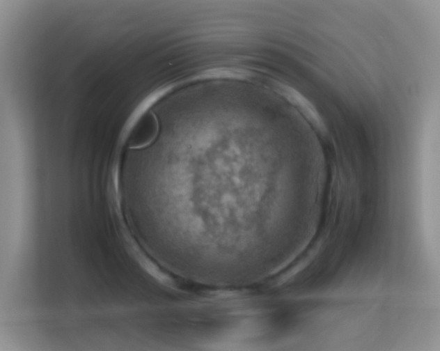 X0000113640796200909251240