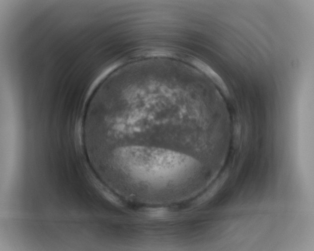 X0000113640798200909251240