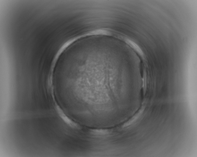 X0000113640800200909251240