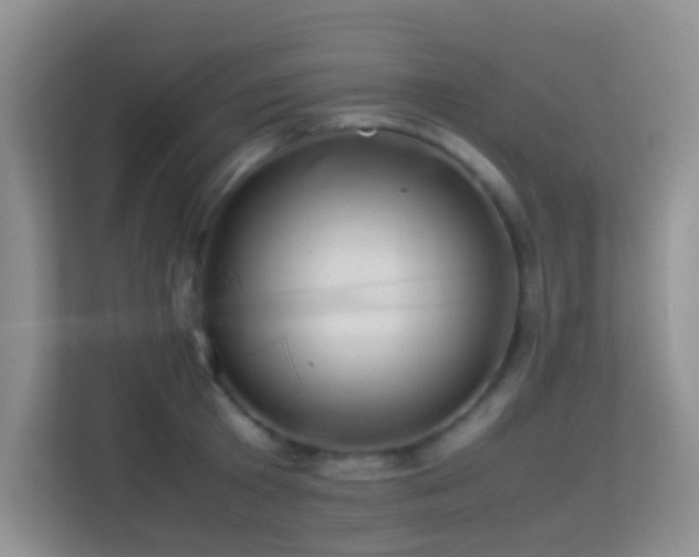 X0000113640801200909251240