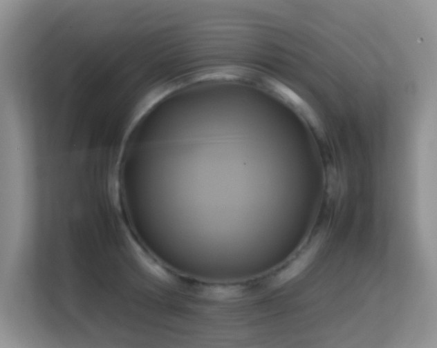 X0000113640802200909251240