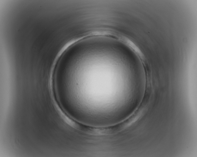 X0000113640803200909251240