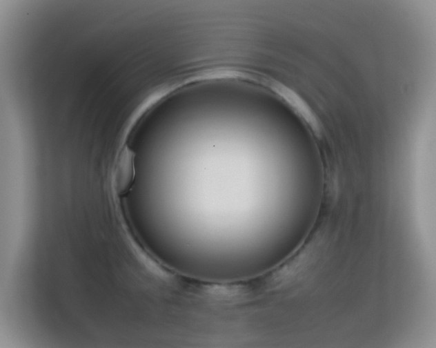 X0000113640805200909251240