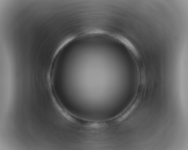 X0000113640806200909251240