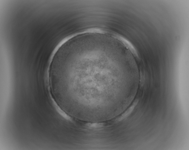 X0000113640808200909251240