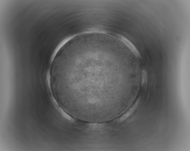 X0000113640812200909251240