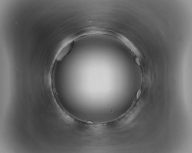 X0000113640813200909251240