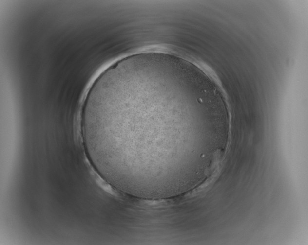 X0000113640816200909251240