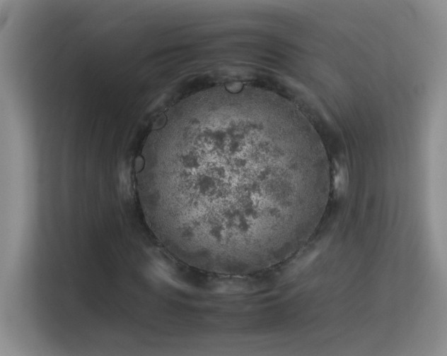 X0000113640819200909251239